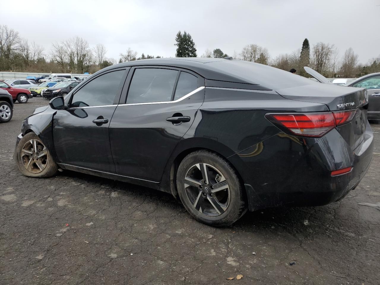 2024 NISSAN SENTRA SV VIN:3N1AB8CVXRY310599
