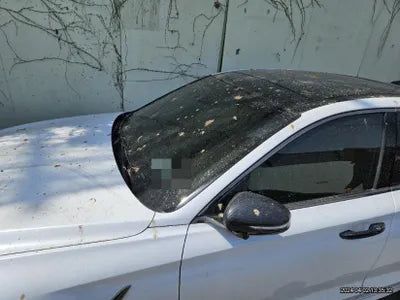 2018 Genesis G70 VIN: