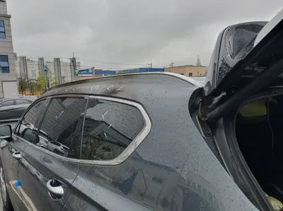 2019 Hyundai Santa FE KMHS281BBKU168900 VIN:KMHS281BBKU168900