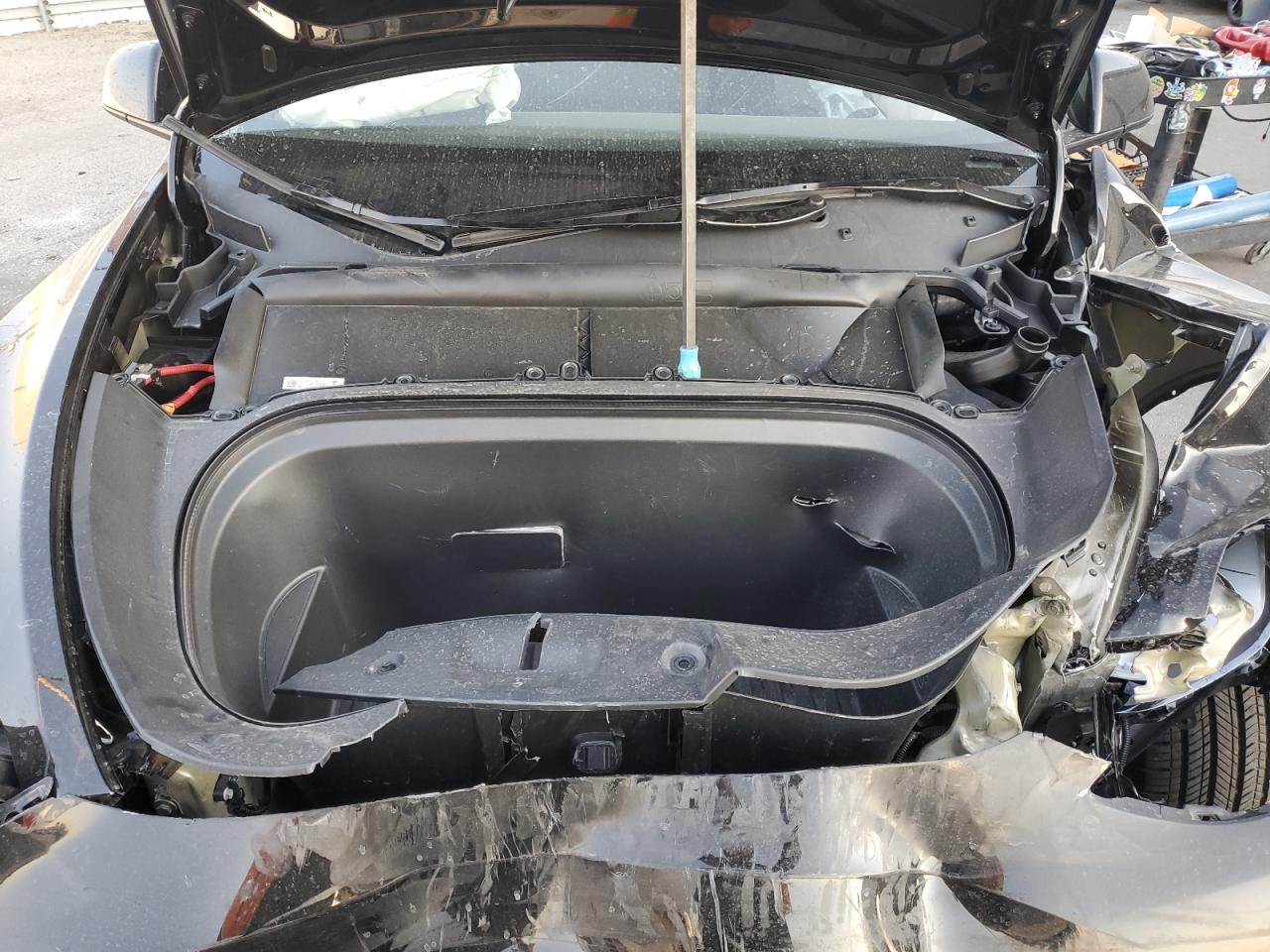 2024 TESLA MODEL Y  VIN:7SAYGDED1RF132087