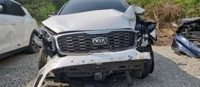 2019 Kia Sorento KNAPS81BBLA564800 VIN:KNAPS81BBLA564800