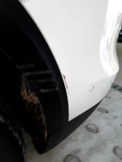 2021 Mercedes-Benz B 220 W1N4M4EB5MW112568 VIN:W1N4M4EB5MW112568