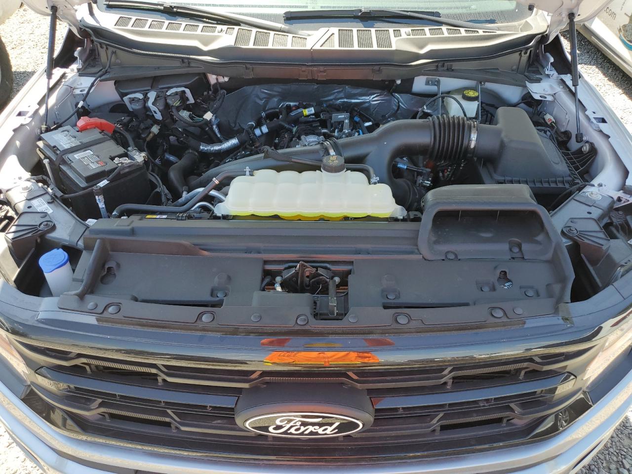 2024 FORD F150 XLT VIN:1FTEW3KPXRFB52359