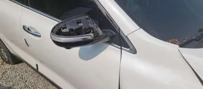 2019 Kia Sorento KNAPS81BBLA564800 VIN:KNAPS81BBLA564800