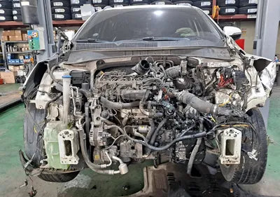 2016 Kia Sorento 283KMKNAPS81ABGA1 VIN:283KMKNAPS81ABGA1