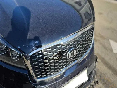 2017 Kia Sorento KNAPS81ABJA400273 VIN:KNAPS81ABJA400273