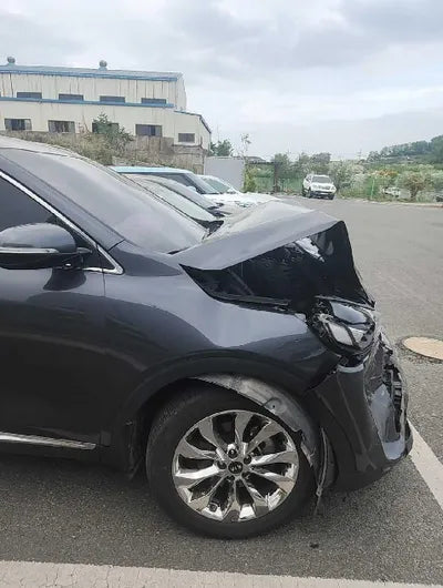 2019 Kia Sorento KNAPS81BBKA508210 VIN:KNAPS81BBKA508210