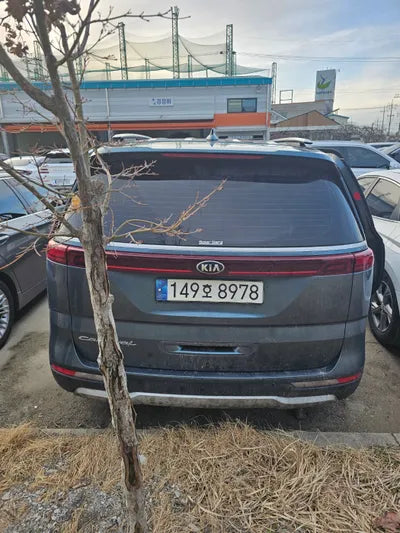 2021 Kia Carnival KNANC81BBMS047966 VIN:KNANC81BBMS047966