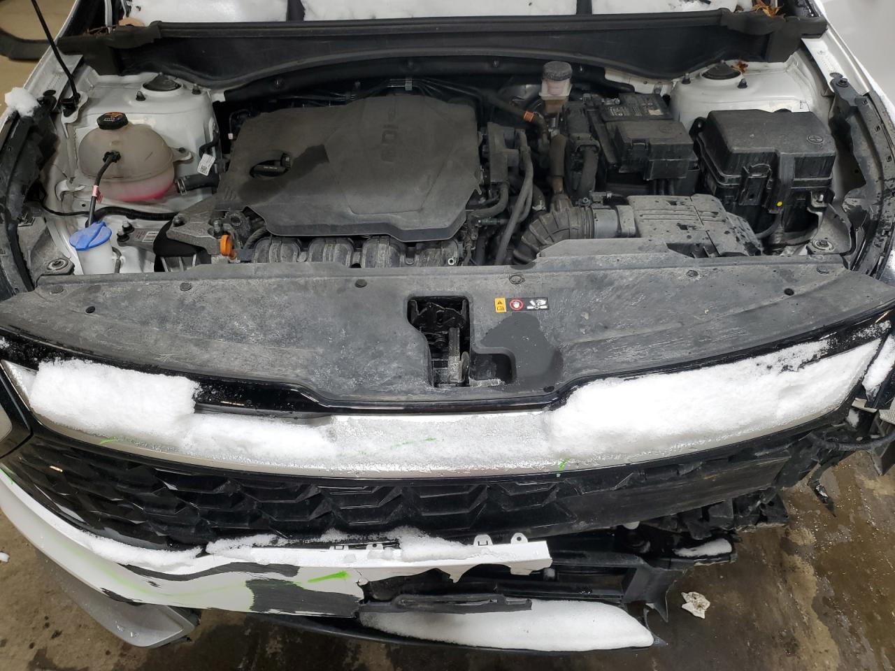 2023 KIA SPORTAGE EX VIN:5XYK3CAF4PG005839