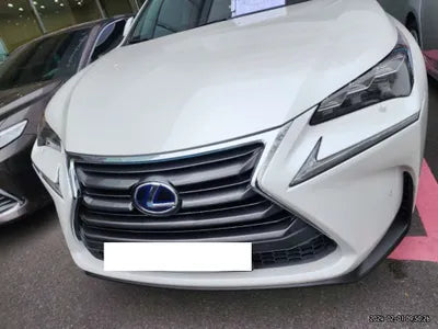 2016 Lexus NX 300 JTJBJRBZ4G2030216 VIN:JTJBJRBZ4G2030216