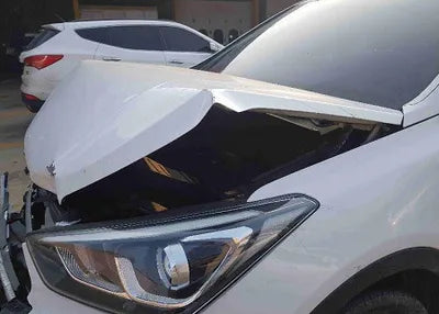 2018 Hyundai Santa FE KMHSW81UBJU834628 VIN:KMHSW81UBJU834628