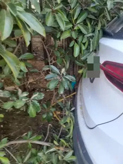 2020 Hyundai Santa FE VIN: