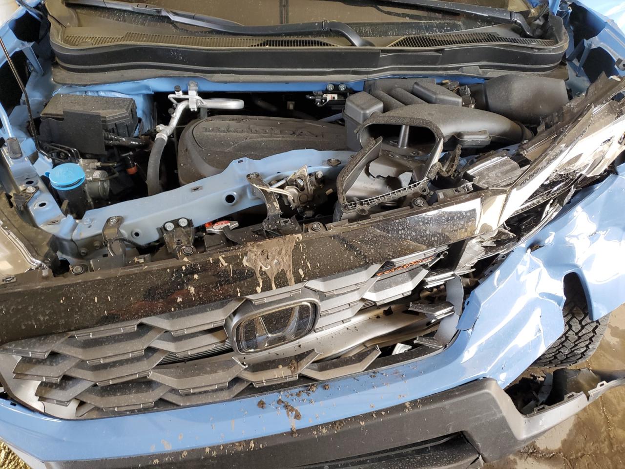 2024 HONDA PASSPORT TRAIL SPORT VIN:5FNYF8H61RB013217