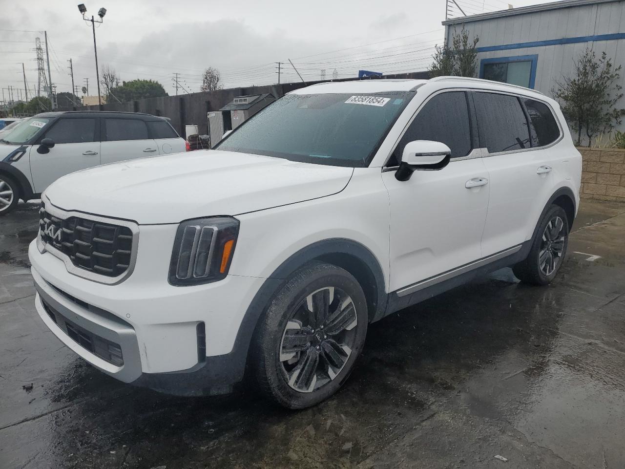 2023 KIA TELLURIDE SX VIN:5XYP5DGC9PG365045