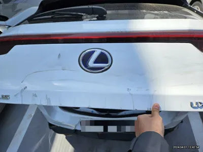 2020 Lexus UX 250 VIN: