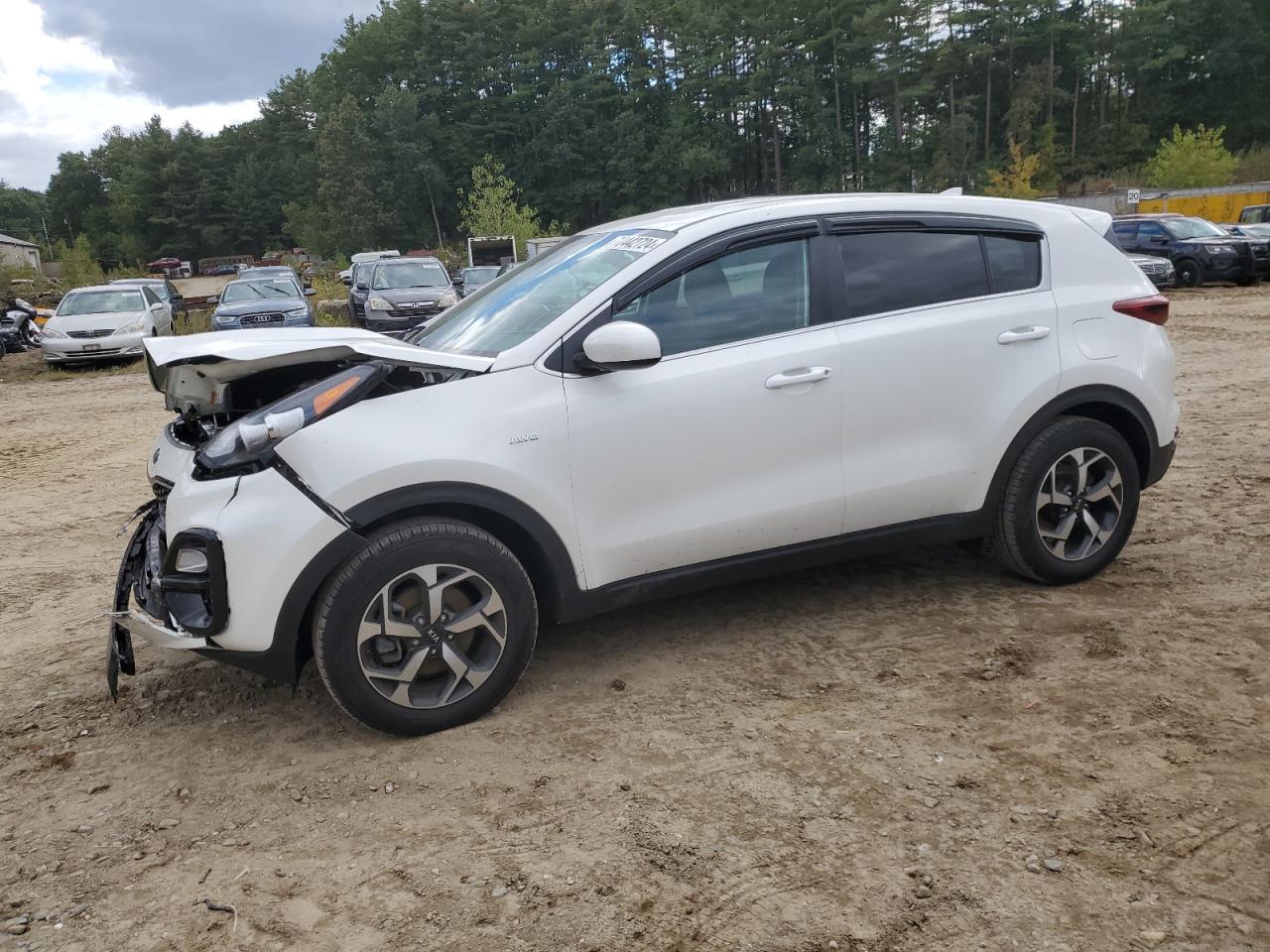 2022 KIA SPORTAGE LX VIN:KNDPMCAC9N7969209