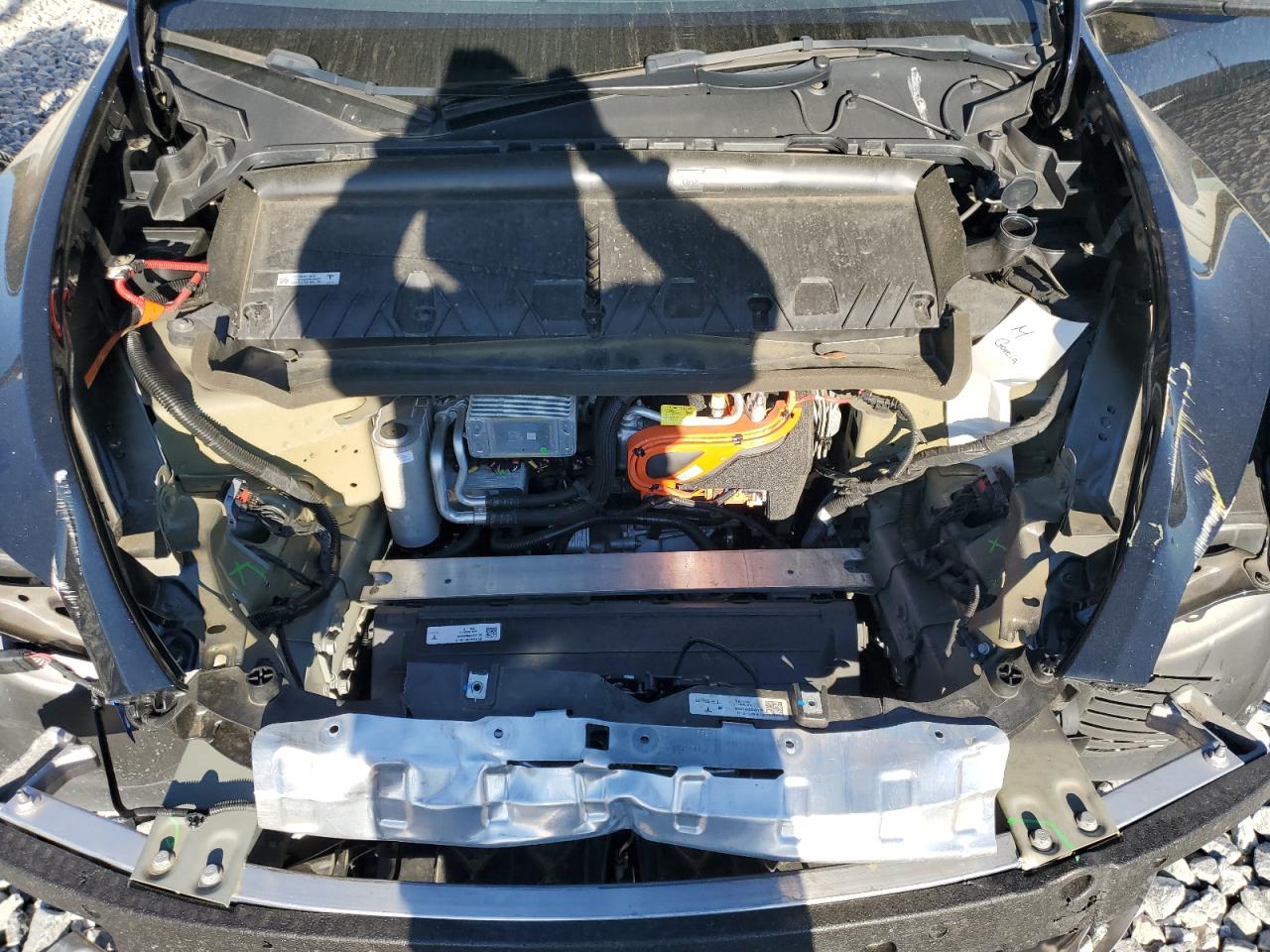2023 TESLA MODEL Y  VIN:7SAYGDEE8PF627795
