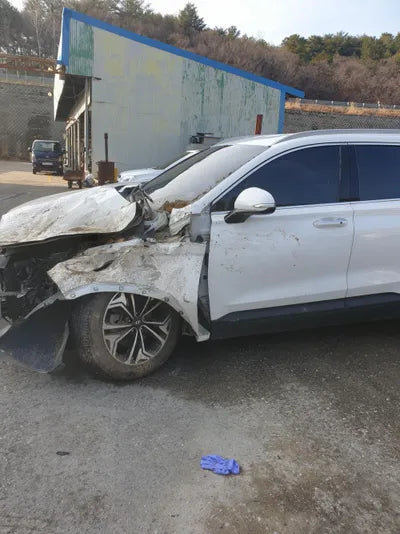 2018 Hyundai Santa FE KMHS281BDKU061175 VIN:KMHS281BDKU061175