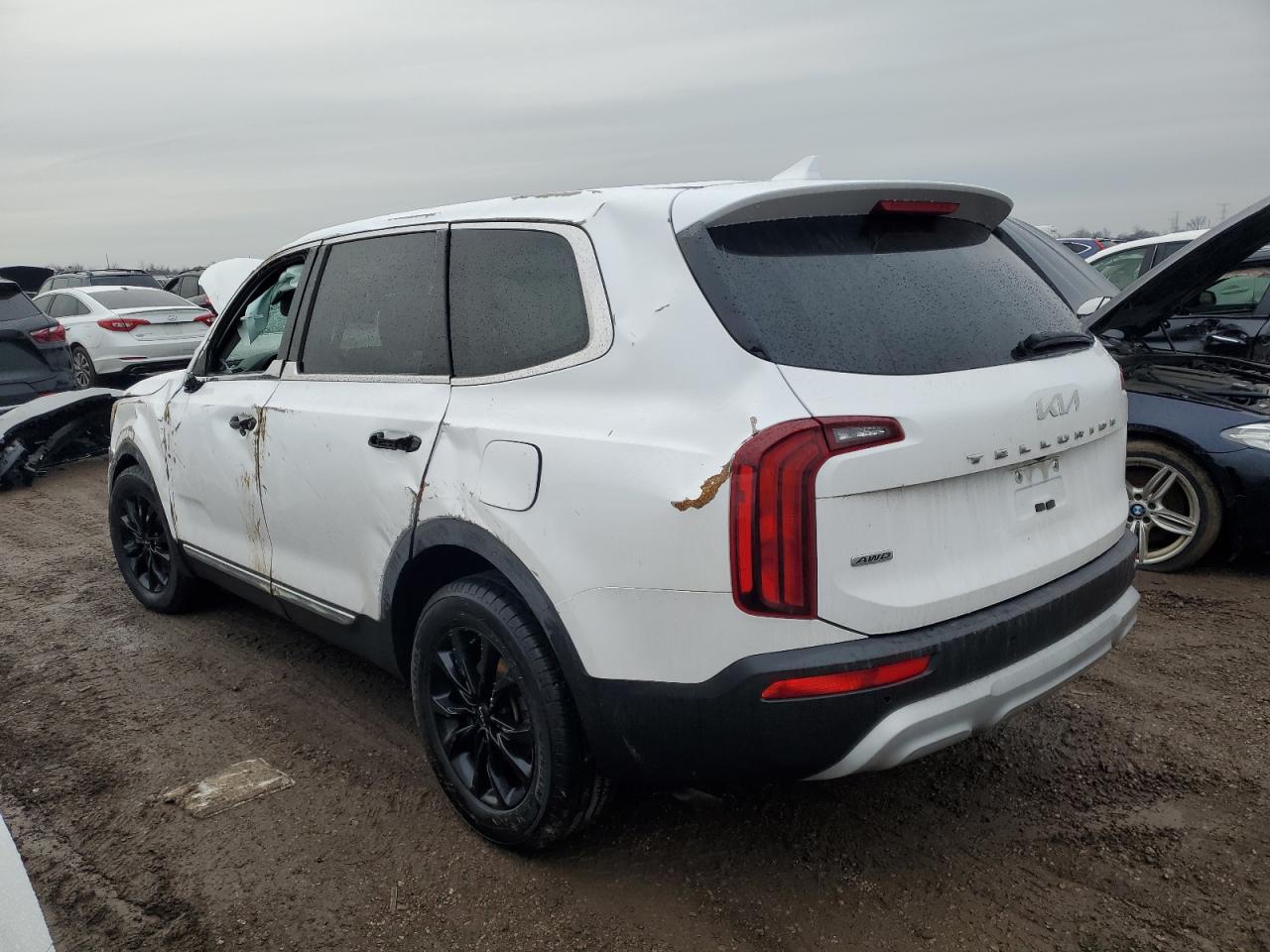 2022 KIA TELLURIDE LX VIN:5XYP2DHC9NG282137