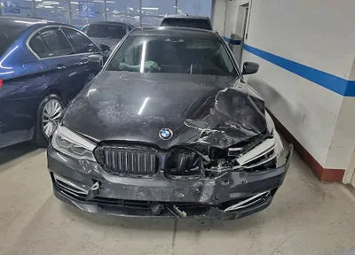2019 BMW 520 WBAJF3104KWW02934 VIN:WBAJF3104KWW02934