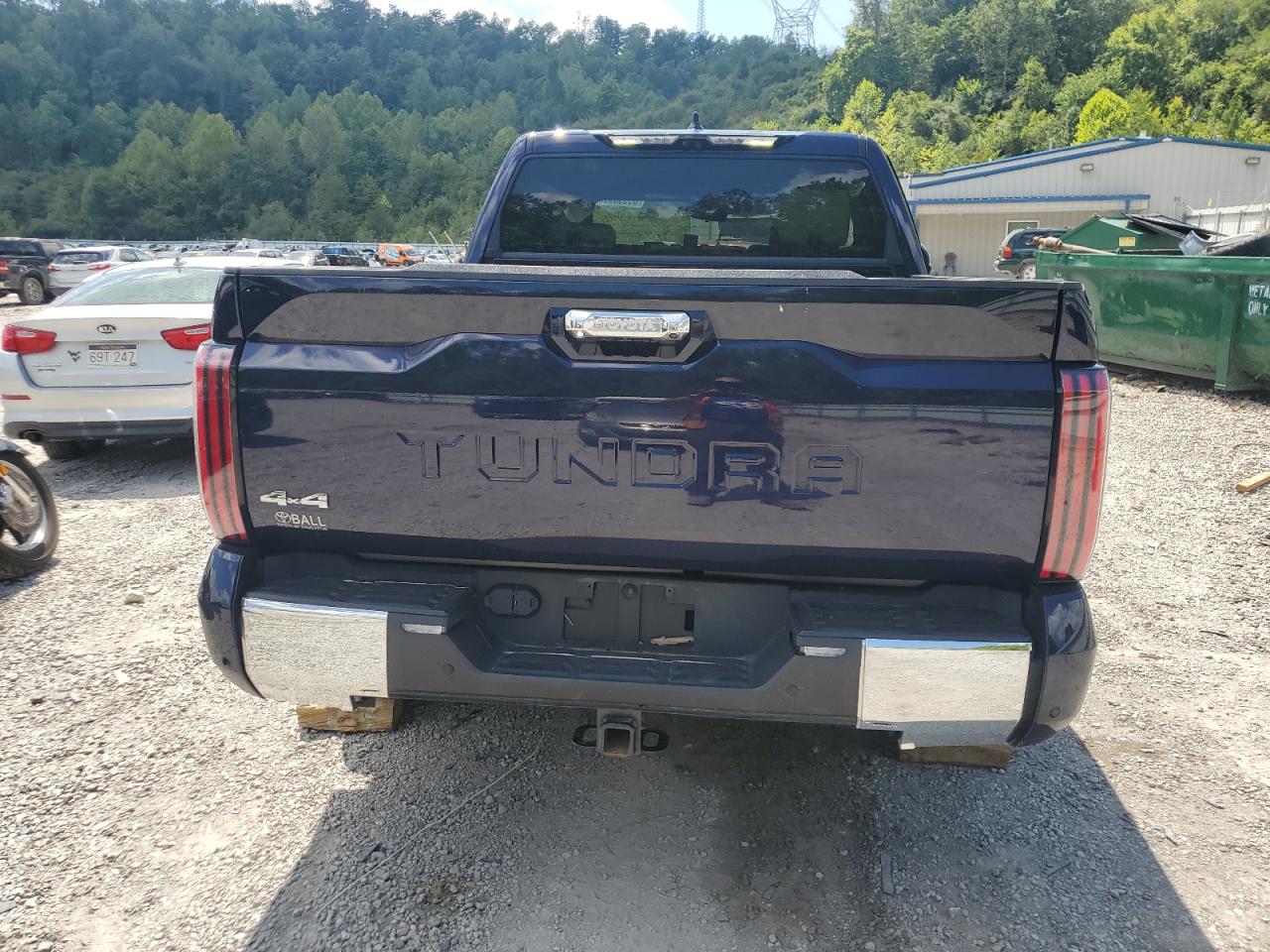 2023 TOYOTA TUNDRA CREWMAX PLATINUM VIN:5TFMA5DB8PX110206
