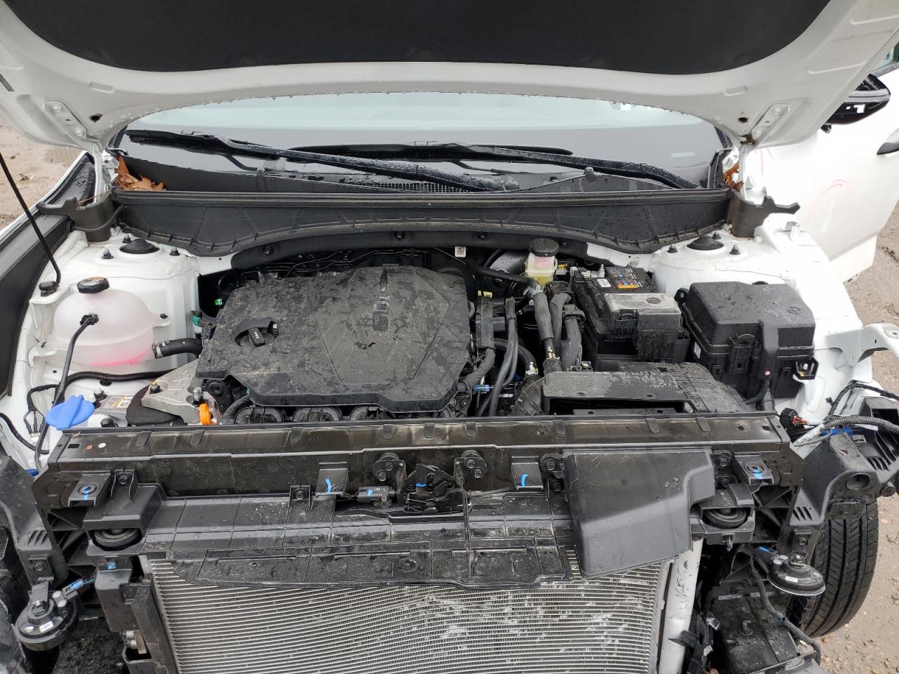 2024 HYUNDAI SANTA CRUZ SEL VIN:5NTJB4DE4RH125791