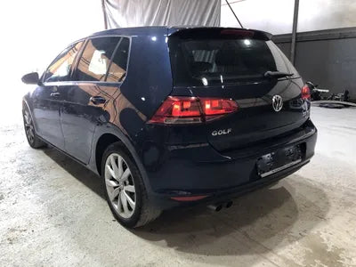2016 Volkswagen Golf WVWZZZAUZGW038251 VIN:WVWZZZAUZGW038251