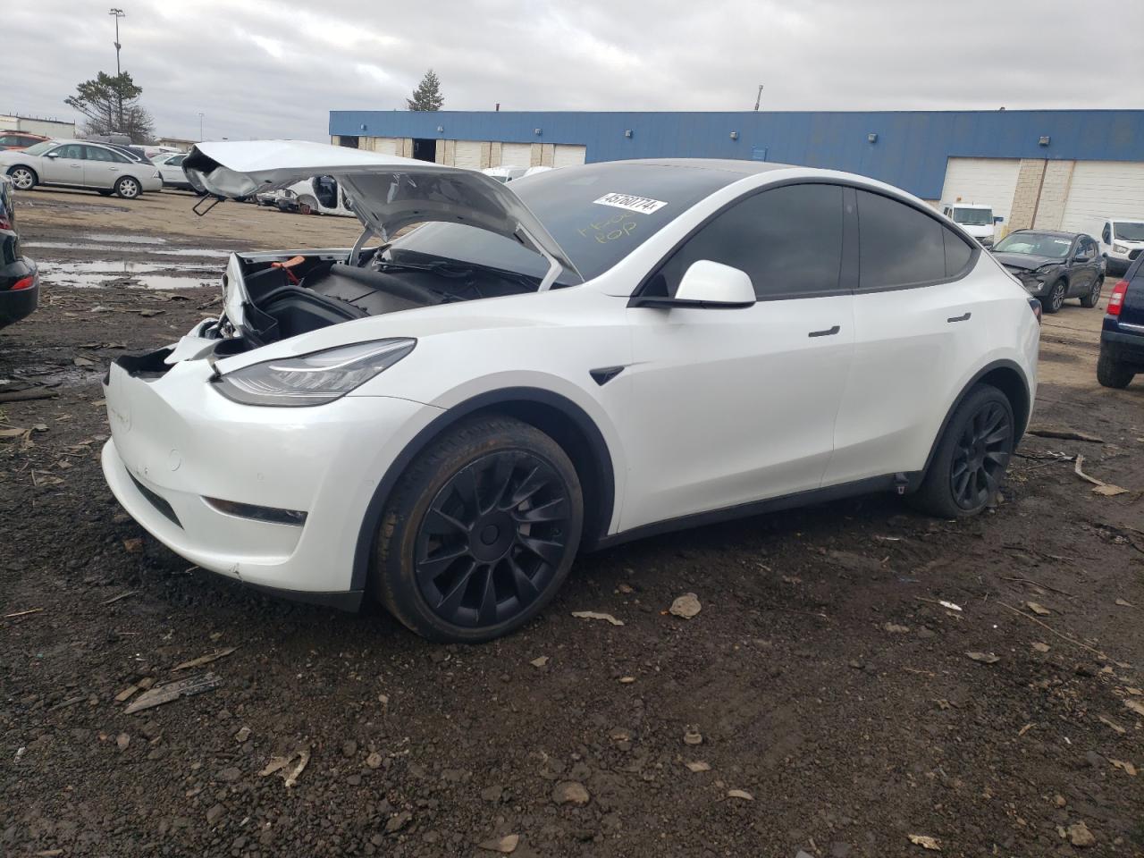 2022 TESLA MODEL Y  VIN:7SAYGDEE2NA018311