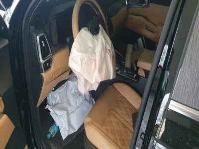2020 Kia Sorento KNARH81GBMA026218 VIN:KNARH81GBMA026218