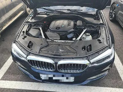 2020 BMW 520 WBAJF5107LCE18007 VIN:WBAJF5107LCE18007