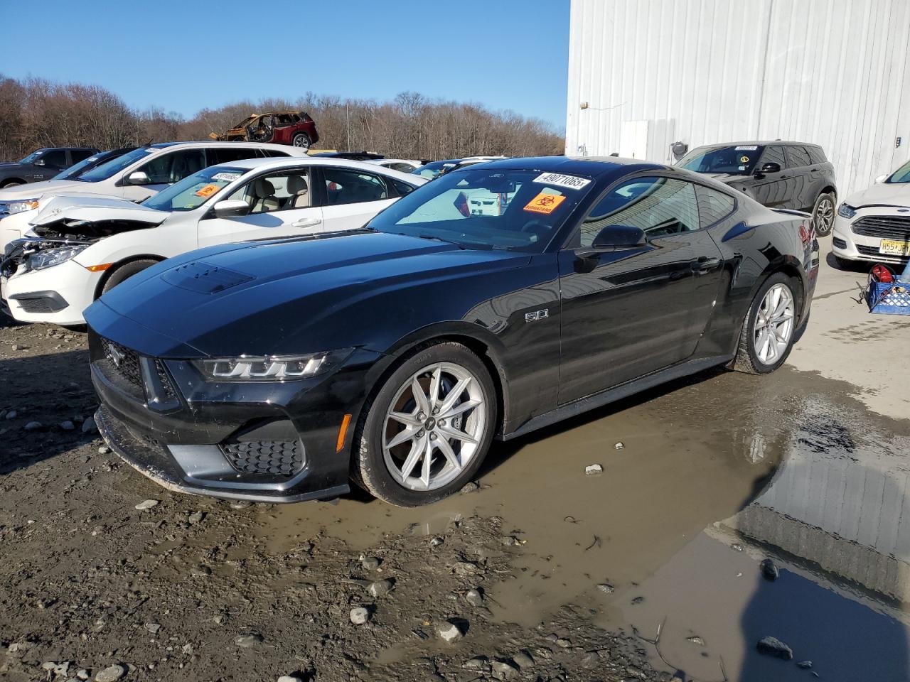 2024 FORD MUSTANG GT VIN:1FA6P8CF1R5427889