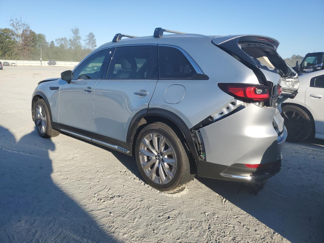 2024 MAZDA CX-90 PREMIUM PLUS VIN:JM3KKEHD9R1111880