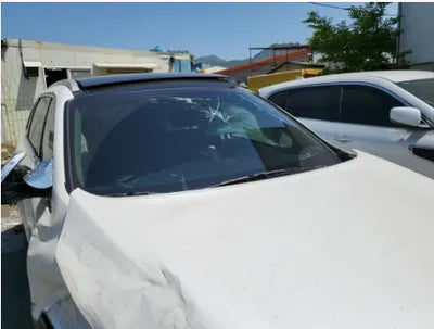 2017 Kia Sorento KNAPS81ABHA273043 VIN:KNAPS81ABHA273043