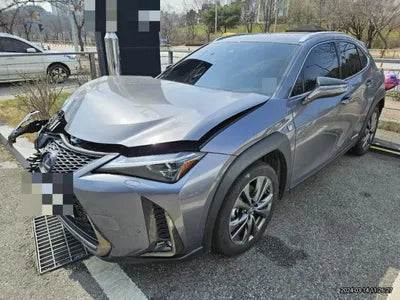 2021 Lexus UX 250 JTHR6JBH4M2103204 VIN:JTHR6JBH4M2103204