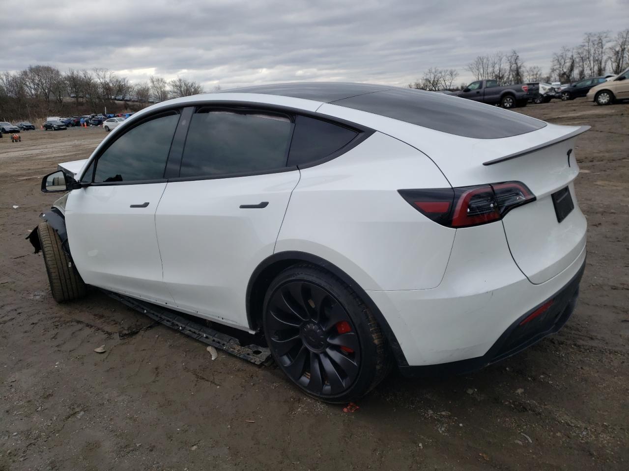 2023 TESLA MODEL Y  VIN:7SAYGDEF5PF701151