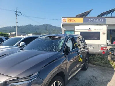 2018 Hyundai Santa FE KMHS381BBKU030465 VIN:KMHS381BBKU030465