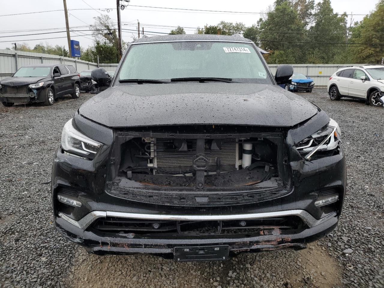 2023 INFINITI QX80 LUXE VIN:JN8AZ2AE0P9301331