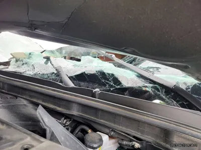 2021 Kia Carnival KNANB81BBMS045022 VIN:KNANB81BBMS045022
