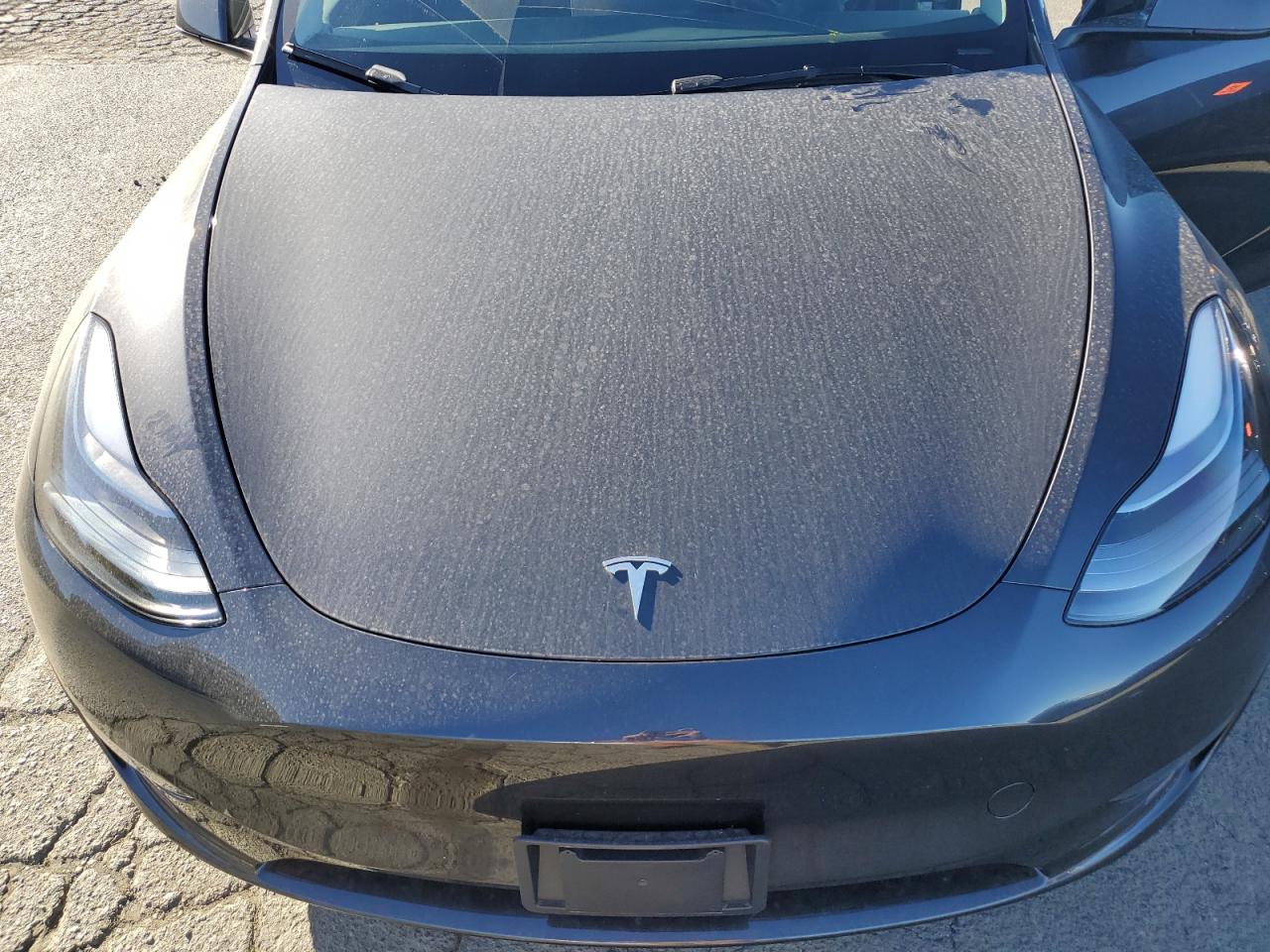 2024 TESLA MODEL Y  VIN:7SAYGDED7RF162890