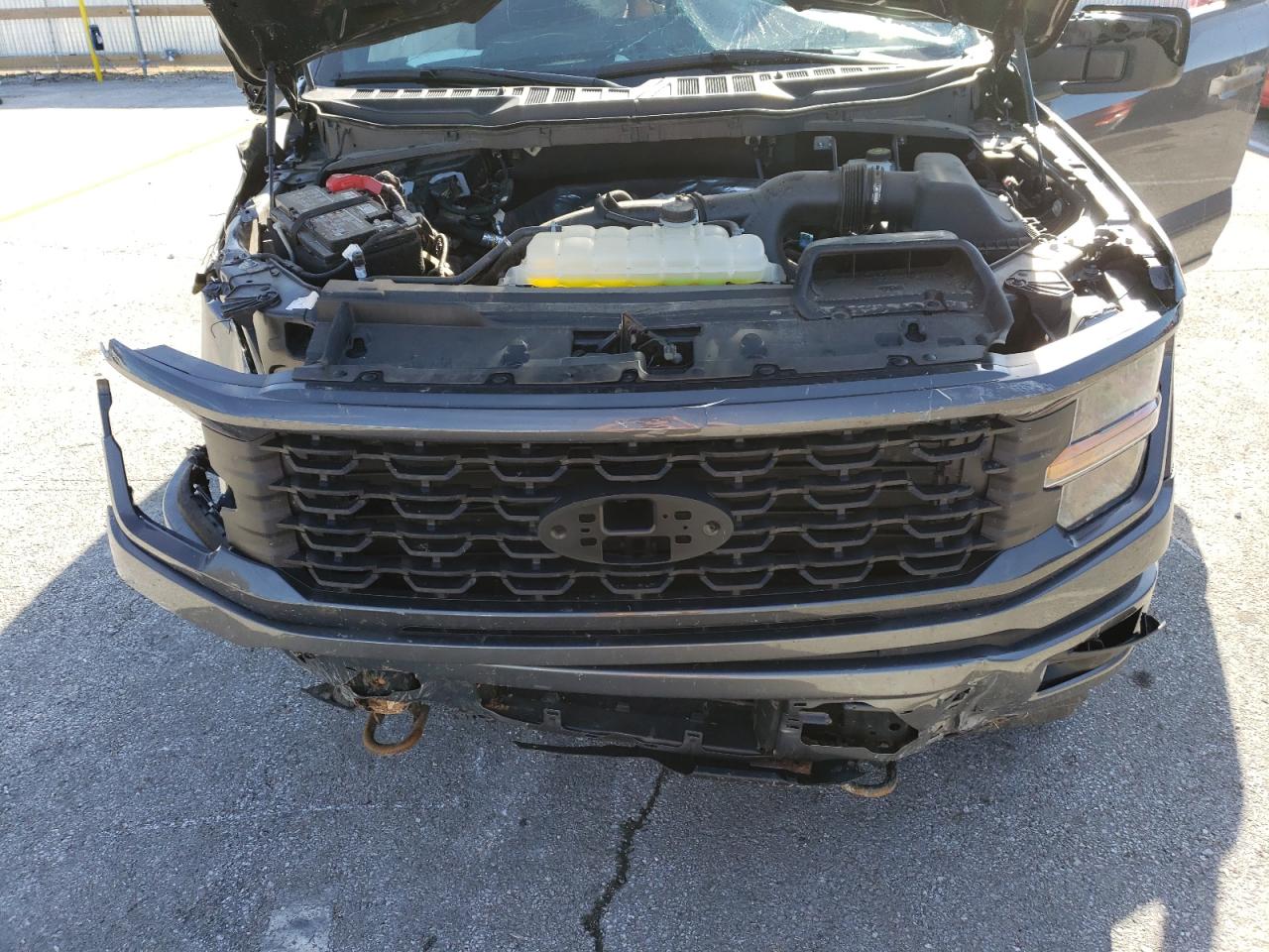2024 FORD F150 STX VIN:1FTEW2LP5RKD02510