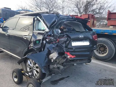 2019 Kia Sorento 324KMKNAPK81BBKA5 VIN:324KMKNAPK81BBKA5