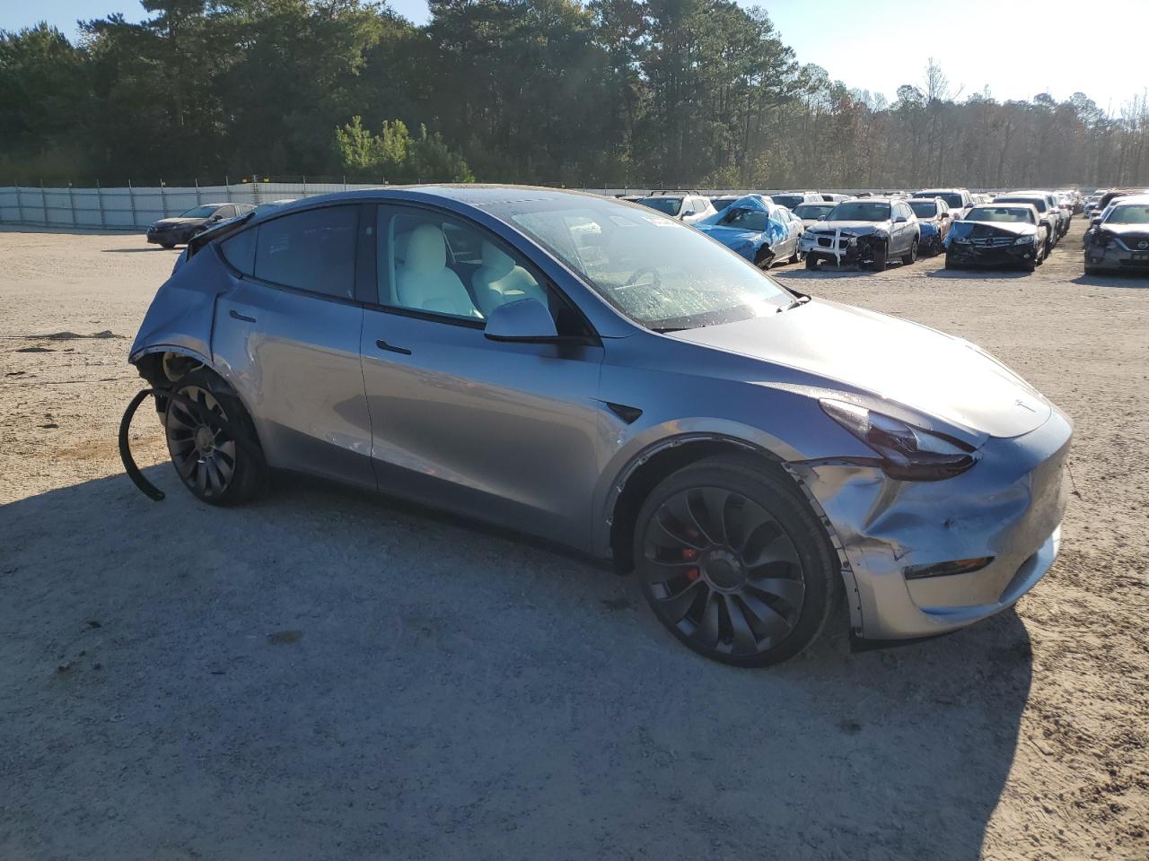 2024 TESLA MODEL Y  VIN:7SAYGDEFXRA307516