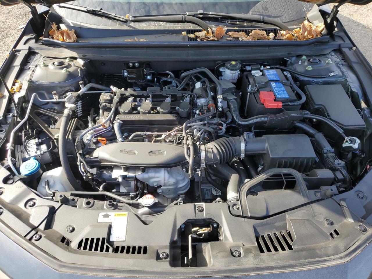 2024 HONDA ACCORD EX VIN:1HGCY1F38RA060047