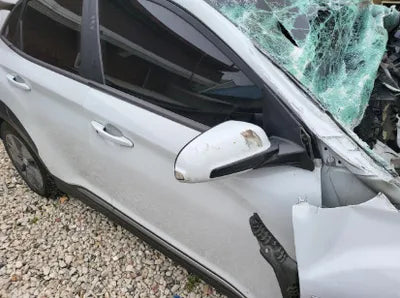 2019 Hyundai Kona KMHK381GFKU047821 VIN:KMHK381GFKU047821