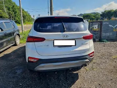 2019 Hyundai Santa FE KMHS281CDKU096955 VIN:KMHS281CDKU096955