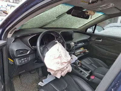2019 Hyundai Santa FE KMHS381CDKU156880 VIN:KMHS381CDKU156880