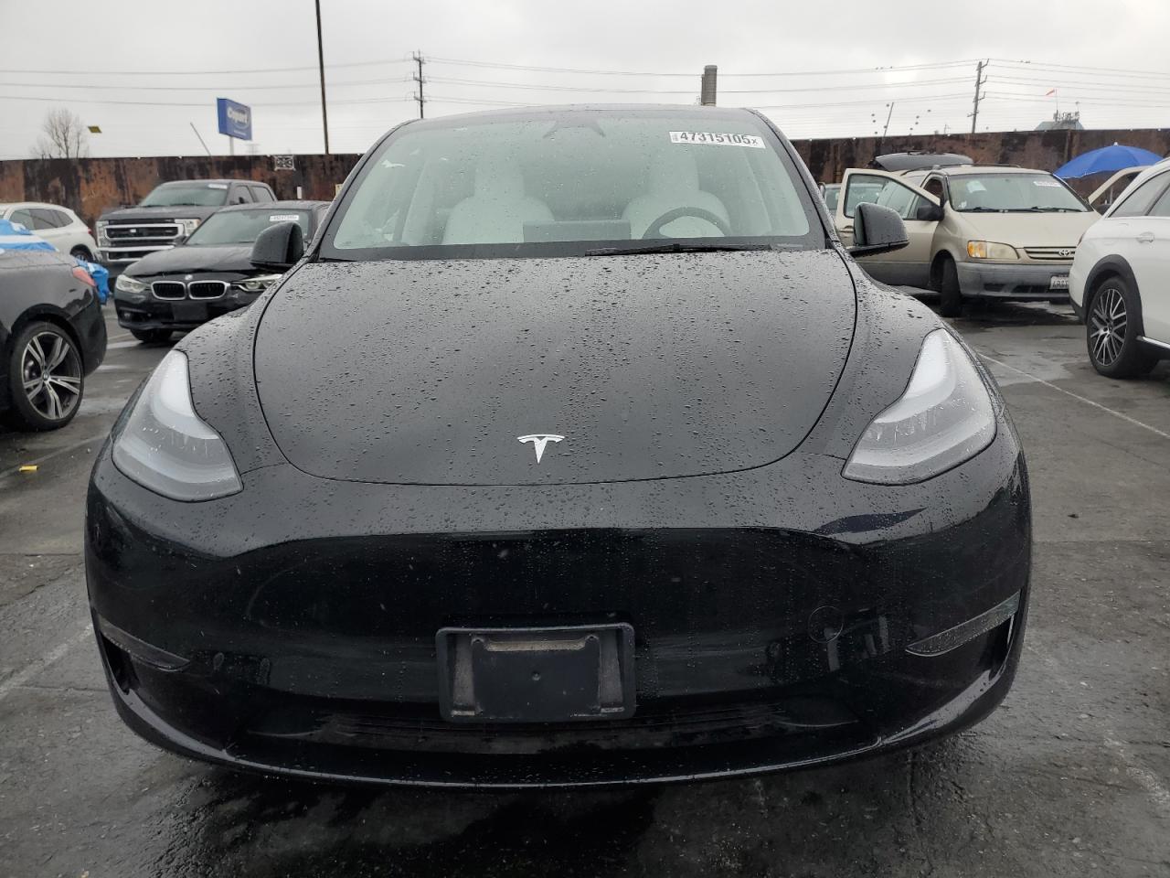 2024 TESLA MODEL Y  VIN:7SAYGDED3RF126646
