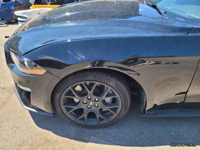 2019 Ford Mustang VIN: