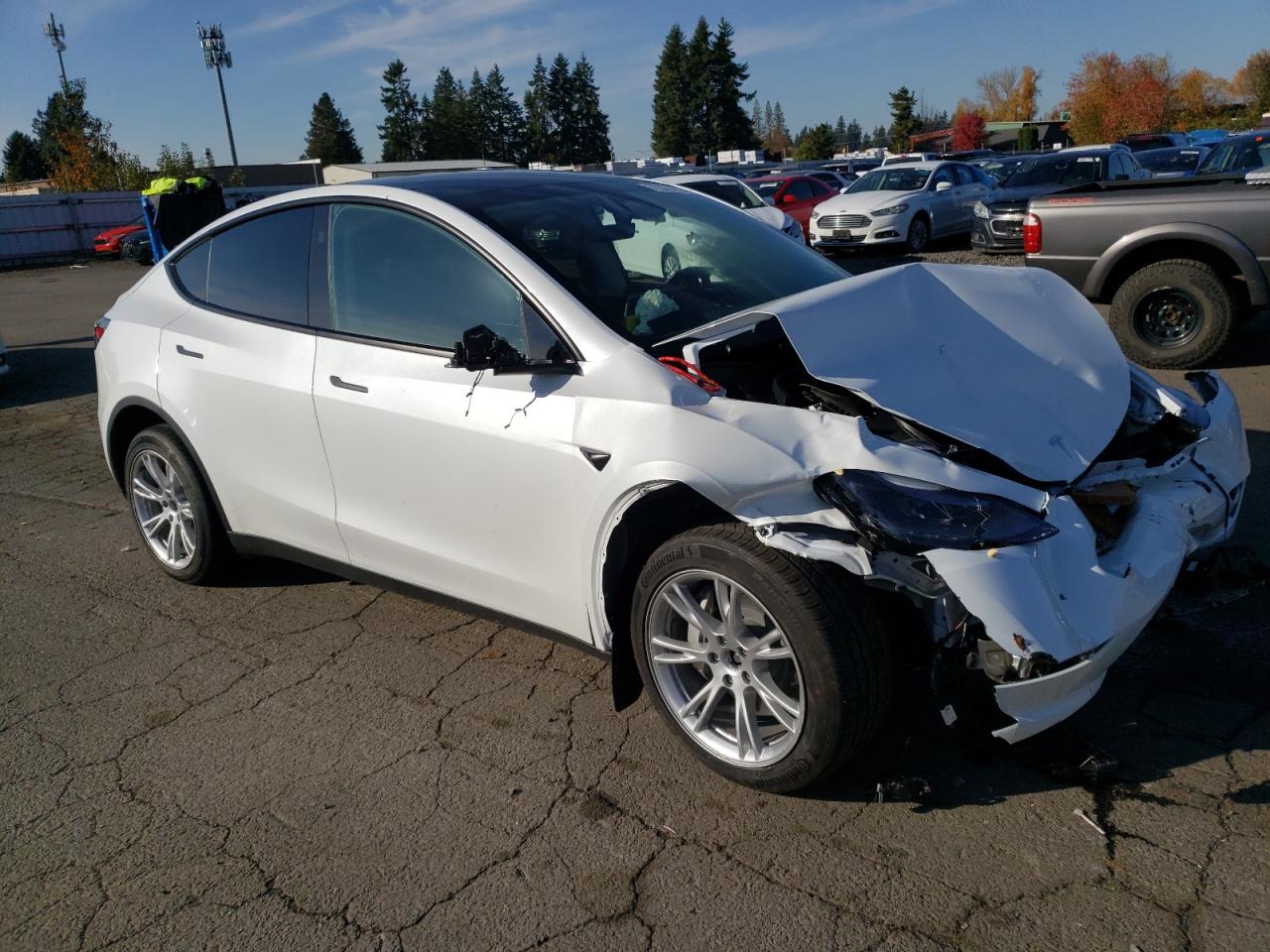 2023 TESLA MODEL Y  VIN:7SAYGDEE5PF918352