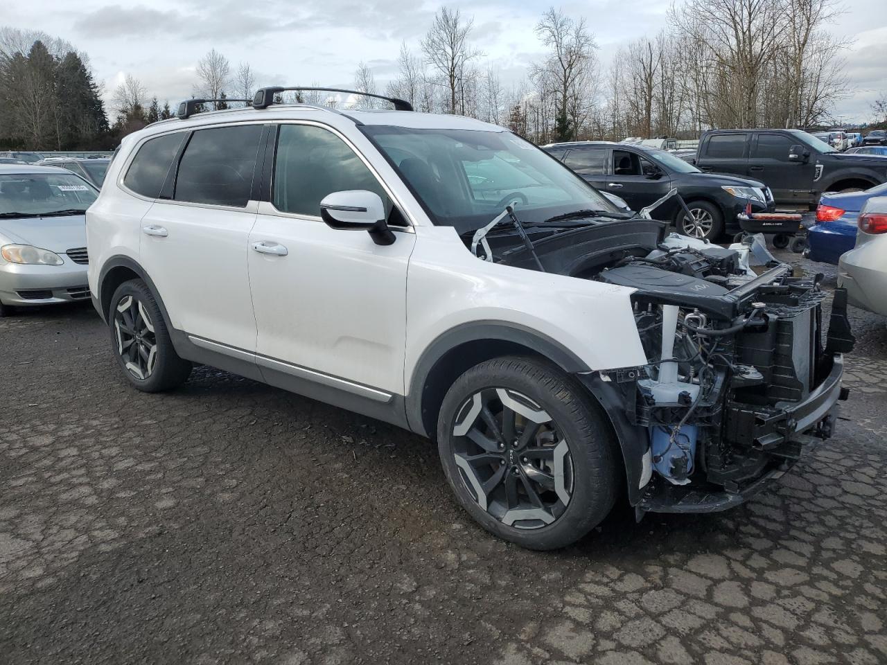2024 KIA TELLURIDE EX VIN:5XYP3DGC2RG451676